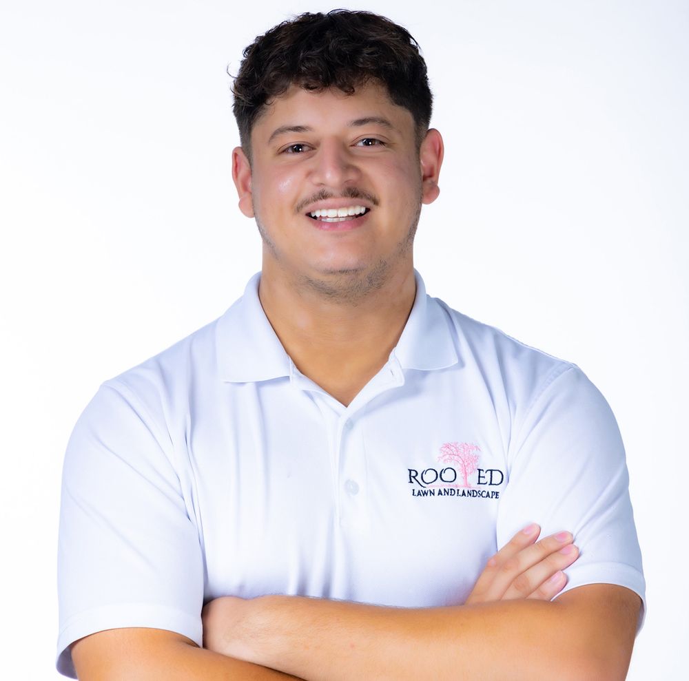 Rooted Lawn & Landscape - tree service in Indianapolis, IN