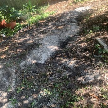 Dunota Pool Services & Supplies - Concrete from the pool that they threw in our backyard - Pool Cleaners Near Me - Orlando, Florida