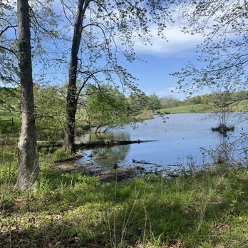 Chinqua Penn Walking Trail - Hiking Near Me - Reidsville, North Carolina