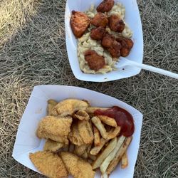 Taste Of Heaven Kitchen - Fried catfish finger and fries Buffalo chicken bites over mac