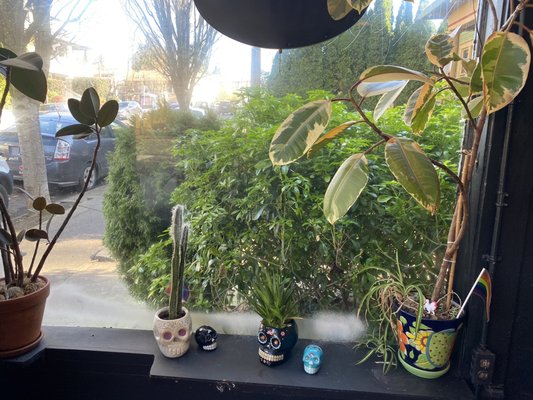 Bare Bones Cafe & Bar by null