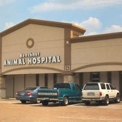 Beechnut Animal Hospital