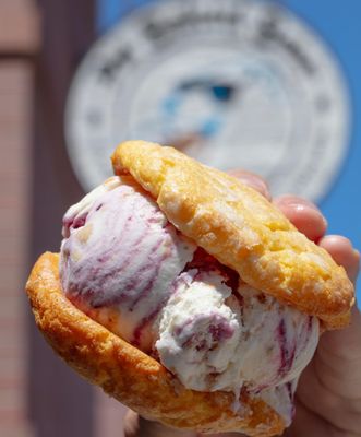 The Baked Bear by null