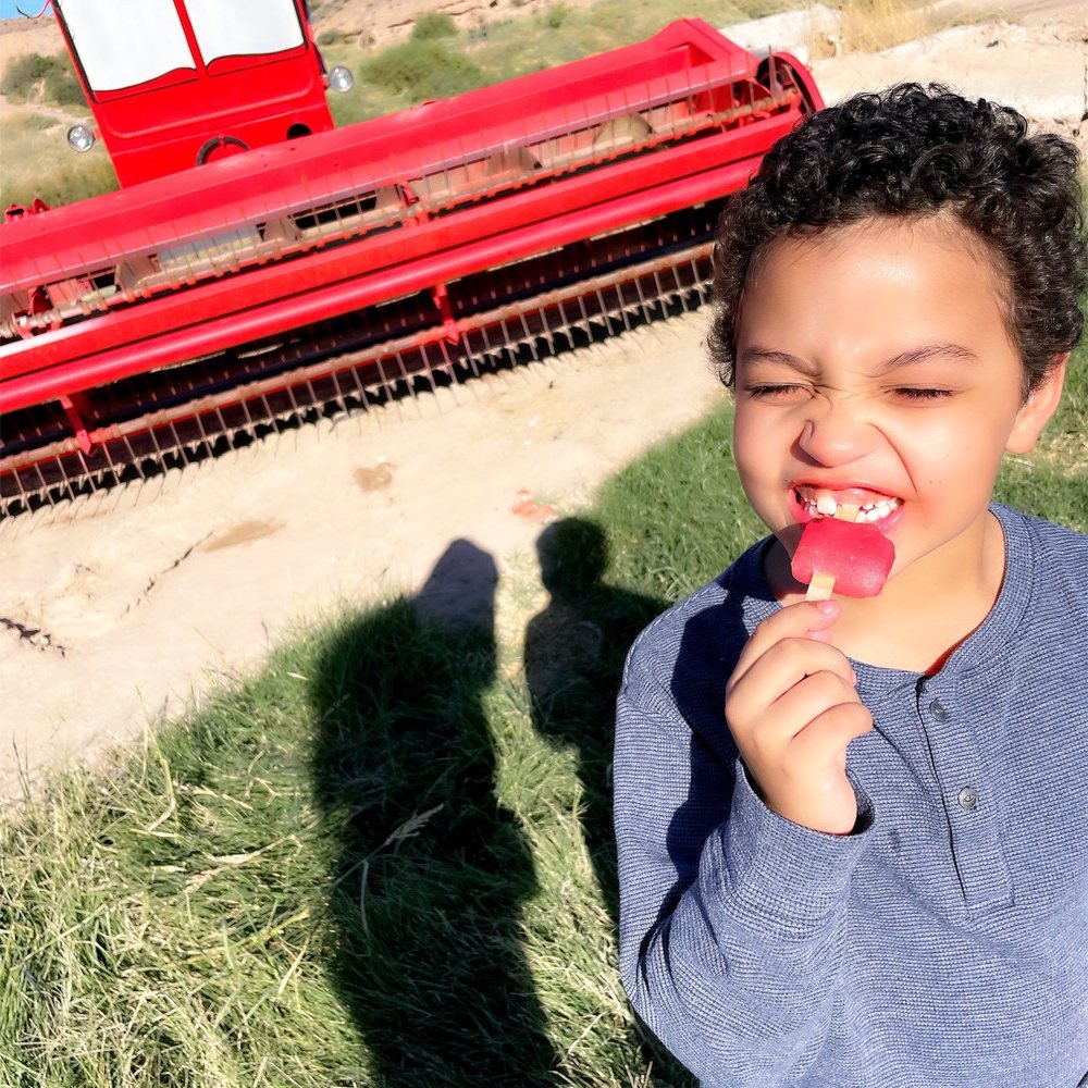Moapa Valley Cornmaze - Remember this from Disney Pixar Cars? - Attraction Farms Near Me - Logandale, Nevada