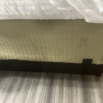 Best Western Executive Suites - Bed - Hotels Near Me - Columbus, Mississippi