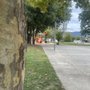 Photo of Vintage Meadows Park