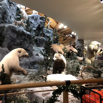 Cabela's - Outdoor Gear Near Me - Charleston, West Virginia Cabela's - Outdoor Gear Near Me - Charleston, West Virginia