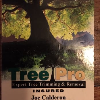 Tree Pro-Expert Tree Trimming & Removal - Tree Services Near Me Tree Pro-Expert Tree Trimming & Removal - Tree Services Near Me