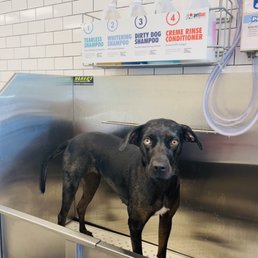 Yara getting so fresh & so clean Yara getting so fresh & so clean