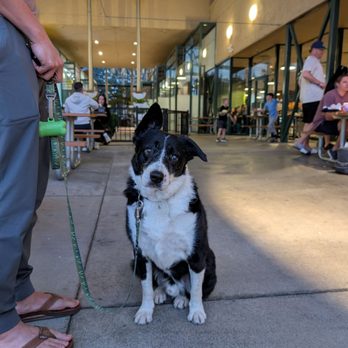 Block Craft Beer & Kitchen - Dog and kid friendly outdoor seating - New American Near Me - Sacramento, California