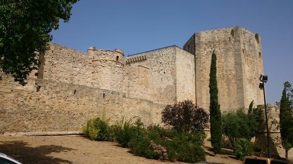 Museo de La Manzanilla de Bodegas Barbadillo by null