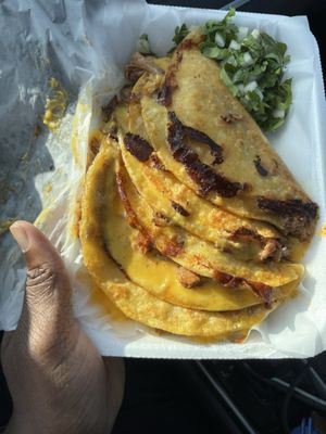 Taquito Aviles by null