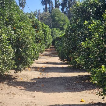 Kimberly Crest House and Gardens  - Museums Near Me - Redlands, California