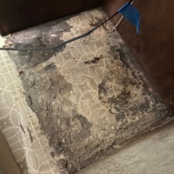 Am Cleaning Service - They Pulled my Fridge out! - Before