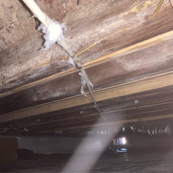 DeTect Termite & Moisture Service and The Brickkicker - Home Inspectors Near Me - Norfolk, Virginia DeTect Termite & Moisture Service and The Brickkicker - Home Inspectors Near Me - Norfolk, Virginia