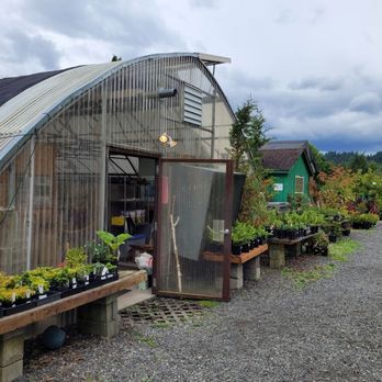 Classic Landscaping - Landscaping Near Me - Kirkland, Washington