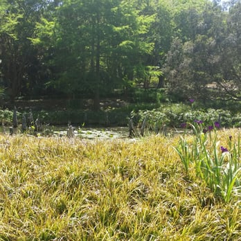 Rip Van Winkle Gardens - Venues & Event Spaces Near Me - New Iberia, Louisiana Rip Van Winkle Gardens - Venues & Event Spaces Near Me - New Iberia, Louisiana