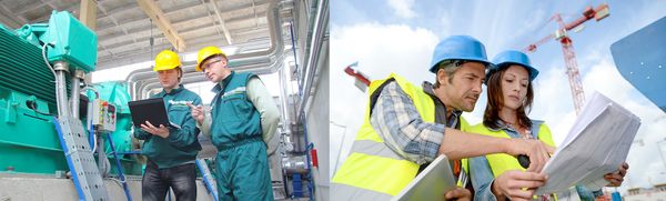 The American Romani Alliance Logo