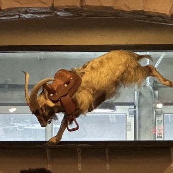 Rodeo Goat - Burgers Near Me - Frisco, Texas Rodeo Goat - Burgers Near Me - Frisco, Texas