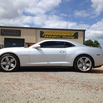 Thoroughbred Window Tinting - zl1 camaro - Car Window Tinting Near Me - Sherman, Texas Thoroughbred Window Tinting - zl1 camaro - Car Window Tinting Near Me - Sherman, Texas