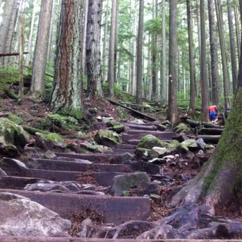 Grouse Grind - The beginning - Hiking Near Me - North Vancouver, British Columbia
