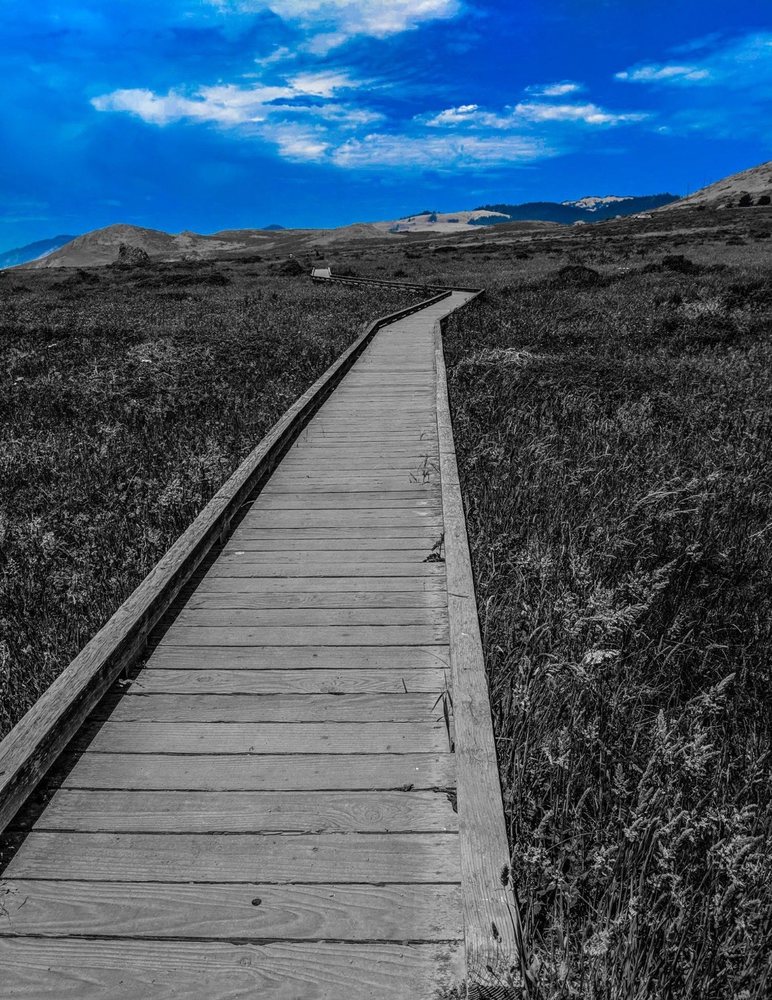 Pomo Canyon Trail Logo