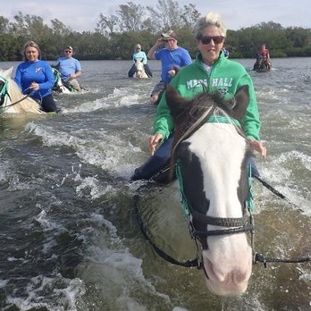 C Ponies Beach Horseback Rides - We're swimming !! - Horseback Riding Near Me - Bradenton, Florida C Ponies Beach Horseback Rides - We're swimming !! - Horseback Riding Near Me - Bradenton, Florida