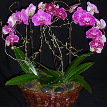 Greenery Florist & Gallery - Florists Near Me - Vancouver, British Columbia Greenery Florist & Gallery - Florists Near Me - Vancouver, British Columbia