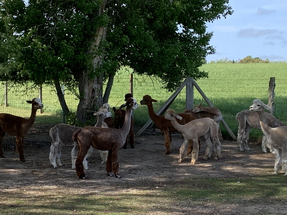 RAINBOW VALLEY FAMILY FARMS - Updated August 2025 - 19 Photos - 6040