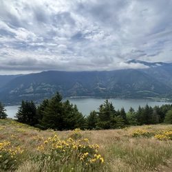 Dog Mountain Trail
