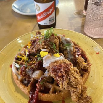 Chubby's Jamaican Kitchen - Fried jerk chicken with a savory waffle.  Delish! - Caribbean Near Me - Toronto, Ontario