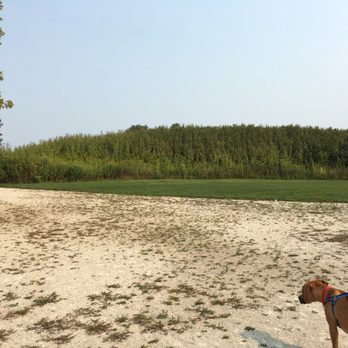 Springbrook Prairie Dog Park - Dog Parks Near Me - Naperville, Illinois