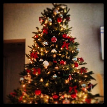 Pinery Christmas Trees - Christmas Trees Near Me - Bonita, California