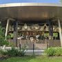 Photo of Lott Family Carousel