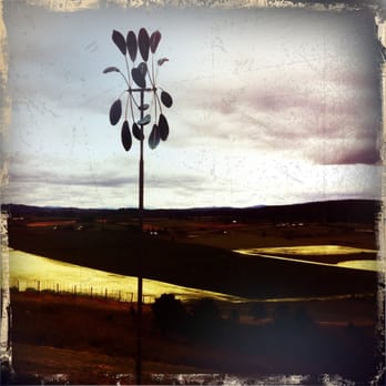 Van Duzer Vineyards - Beautiful - Wineries Near Me - Dallas, Oregon