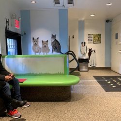 Humane Society of New York