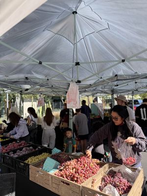 Las Vegas Farmers Market at Uncommons by null