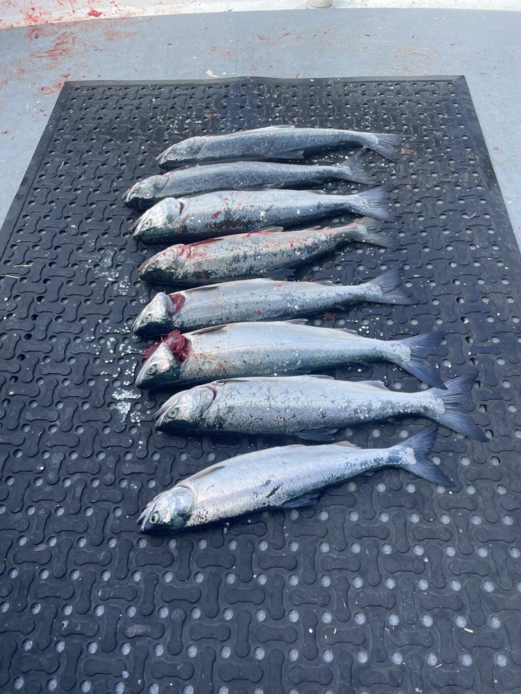 Northwest Fishing Charters, Edmonds Roadtrippers