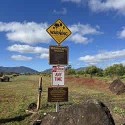 Kukaniloko Birthing Stones