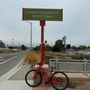 Photo of Lower Guadalupe River Trail