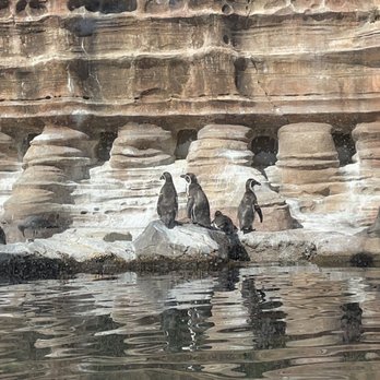 Sedgwick County Zoo - Zoos Near Me - Wichita, Kansas