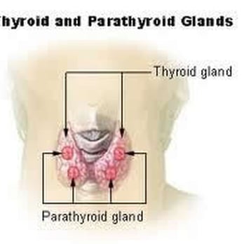 Randall T Weingarten MD - Randall T Weingarten MD specializes in Thyroid and Parathyroid Surgery. - Ear Nose & Throat Near Me - Henderson, Nevada