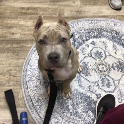 Prairie Animal Hospital - Welcome Atlas!!