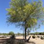 Grovers Basin Park