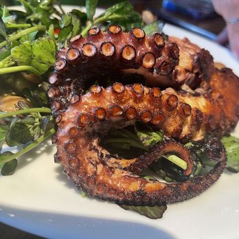 Chaplin - Charred Octopus  Ajo Blanco, Gigante Beans, Watercress - Seafood Near Me - Shelton, Connecticut