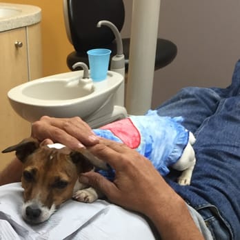 Richard N Bash, DDS - Winkle comforts a patient. - Cosmetic Dentists Near Me - Doylestown, Pennsylvania