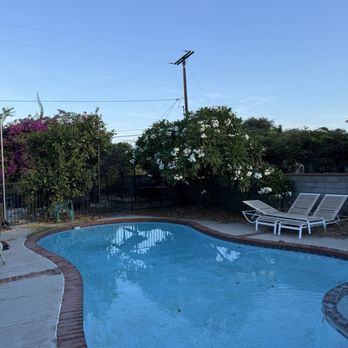 Pacific West Tree Care - Before lemon tree and plumeria tree - Tree Services Near Me - Sun Valley, California Pacific West Tree Care - Before lemon tree and plumeria tree - Tree Services Near Me - Sun Valley, California