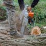 Photo of Kenwood Tree Service
