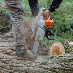 Kenwood Tree Service
