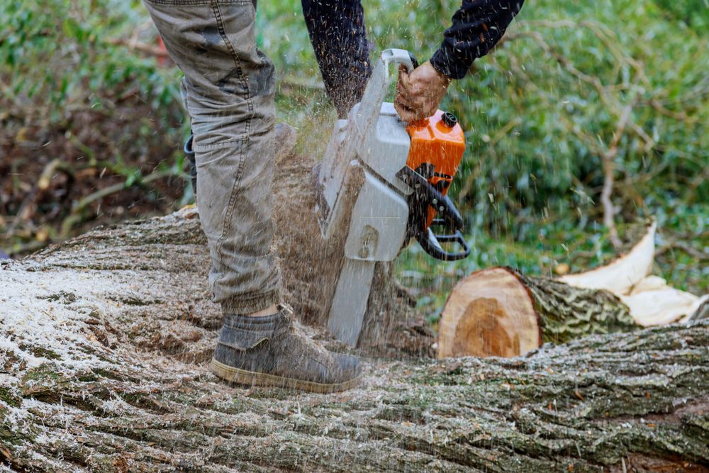Kenwood Tree Service - tree service in Garfield, NJ